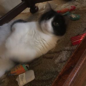 Meet your Posher, Kathy